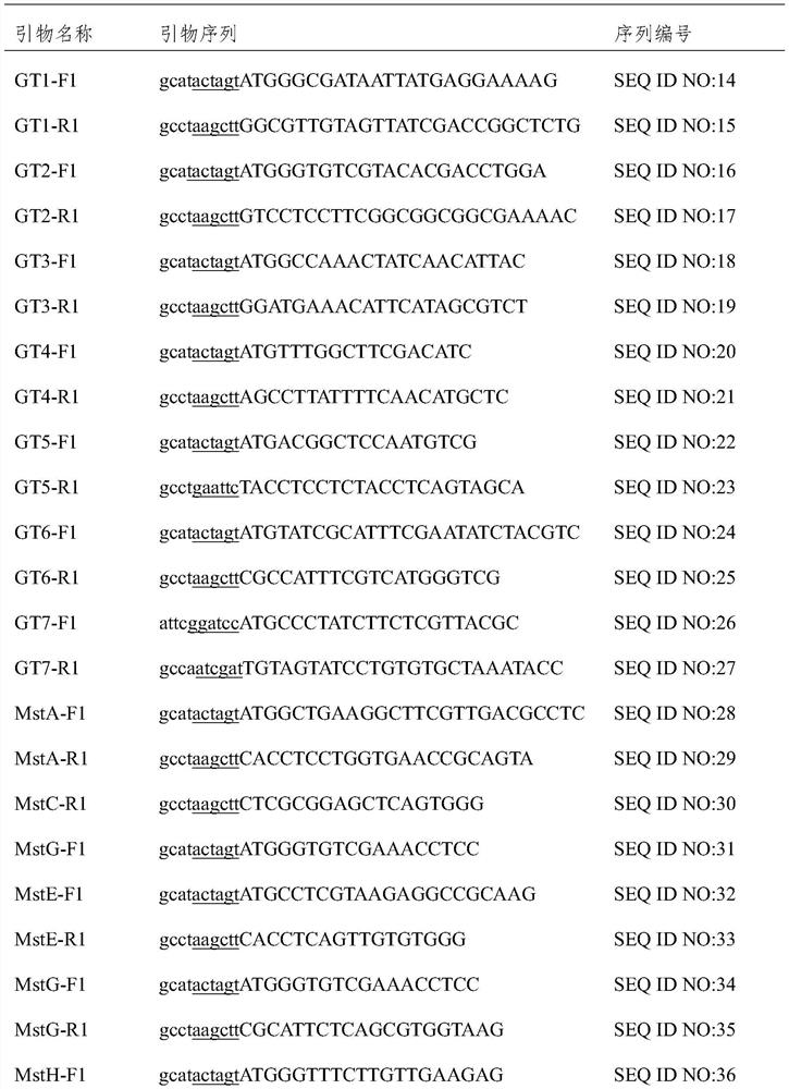 Glucose transporter and application thereof to improving organic acid production