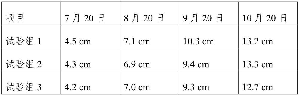 A method for reducing the germination amount of Camellia oleifera grafted stock