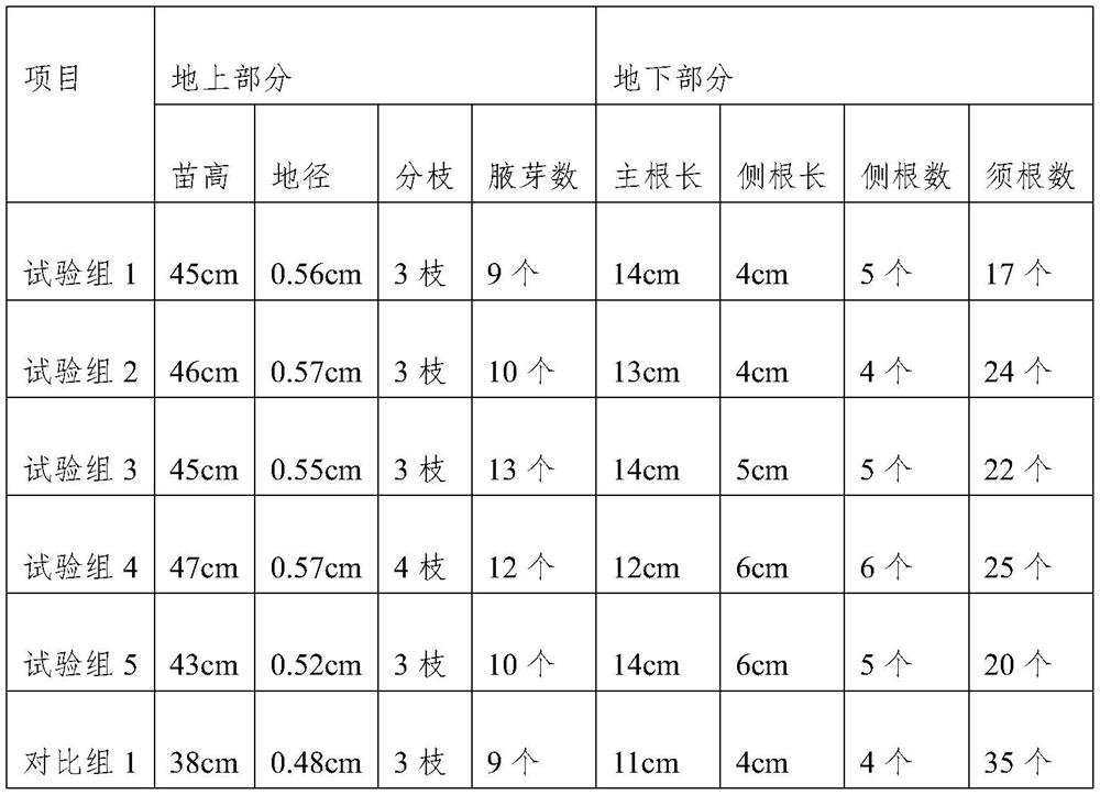 A method for reducing the germination amount of Camellia oleifera grafted stock