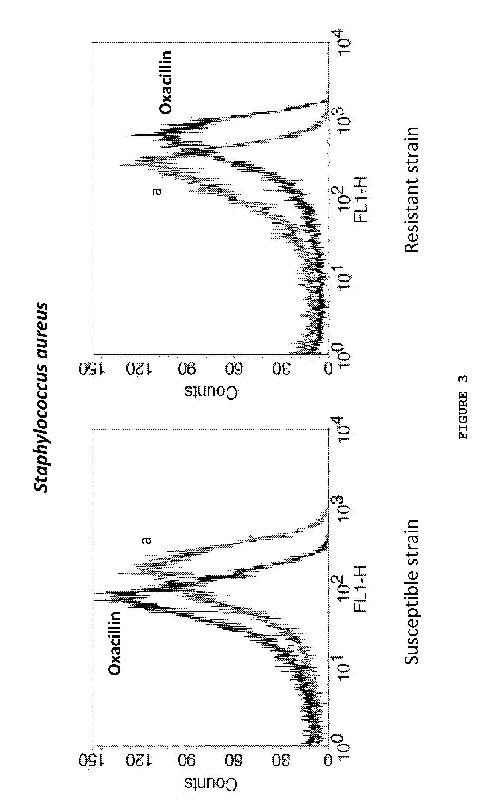 Kit and method of detecting the resistant microorganisms to a therapeutic agent