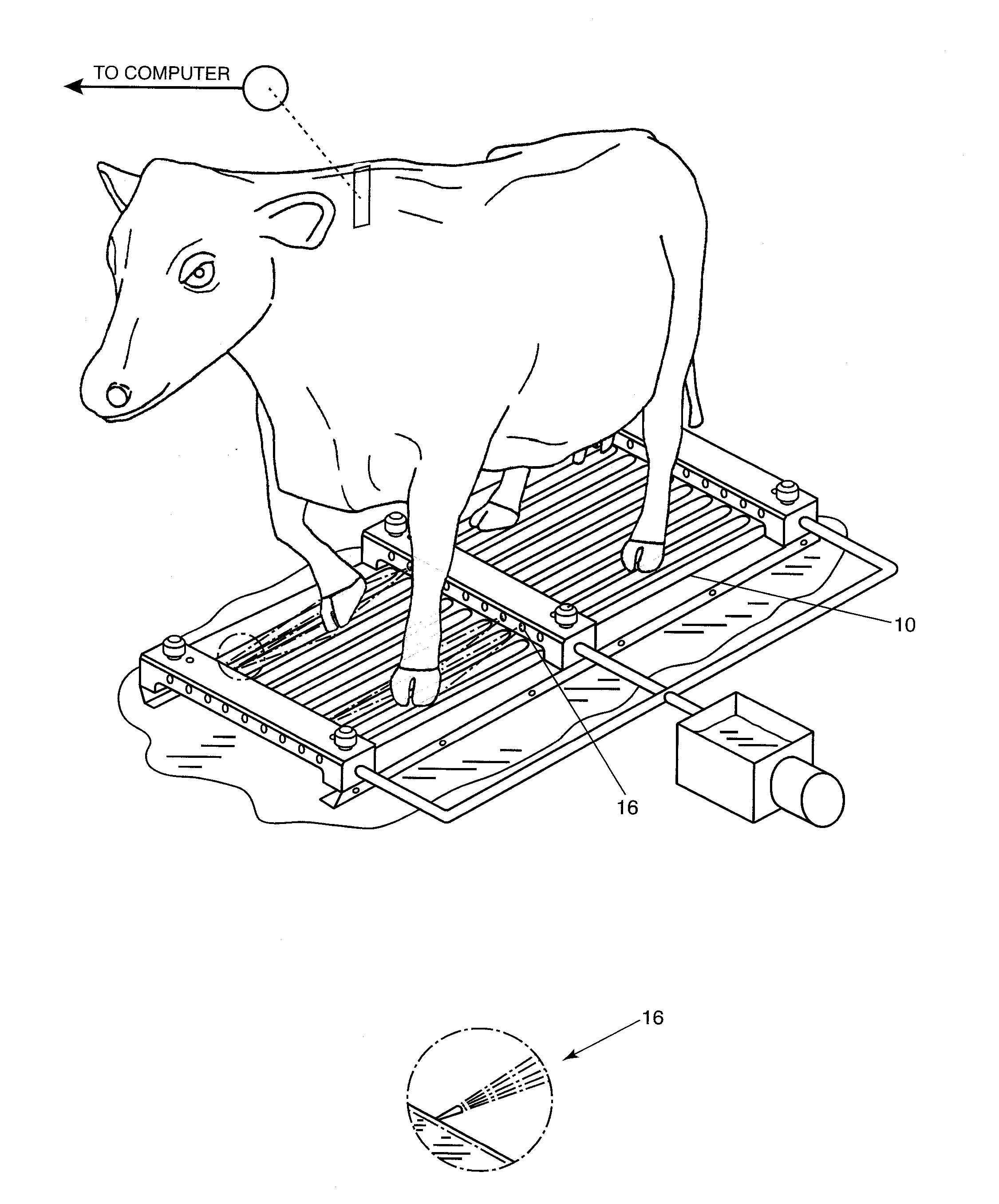 Method for the treatment of animals with hooves