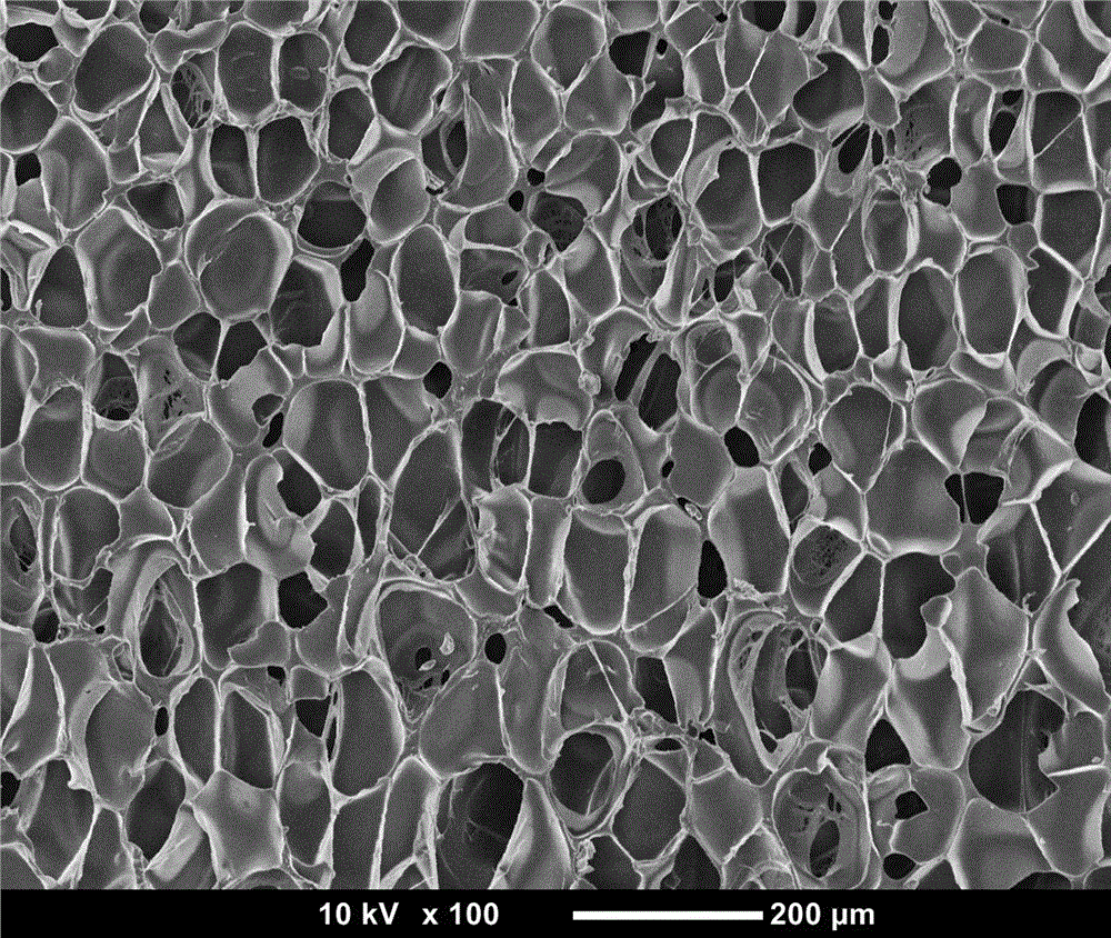 Microcellular foam thermoplastic polyurethane material and preparation method thereof