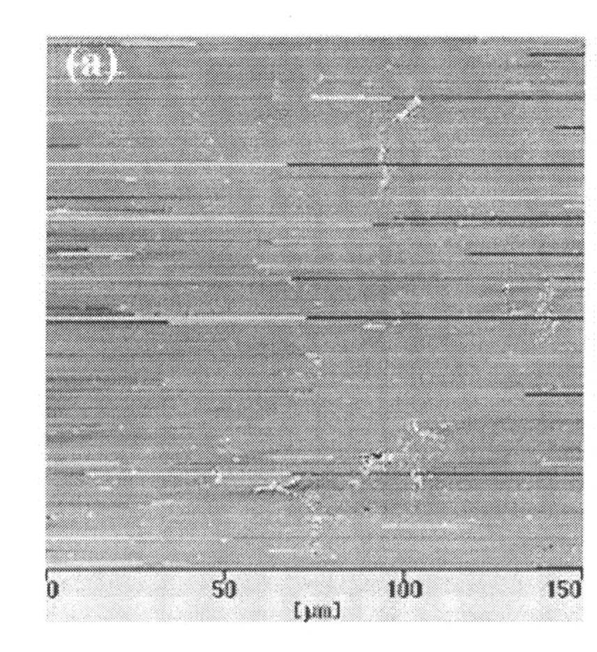 Etching device of micro-nano ferroelectric domain structure based on atomic force microscope acoustic microscopy system