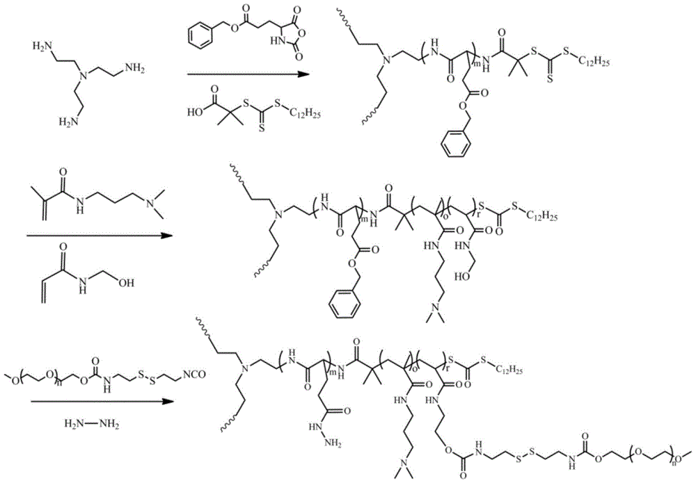 A kind of three-arm star-shaped hydrophilic copolymer and its synthesis method and application