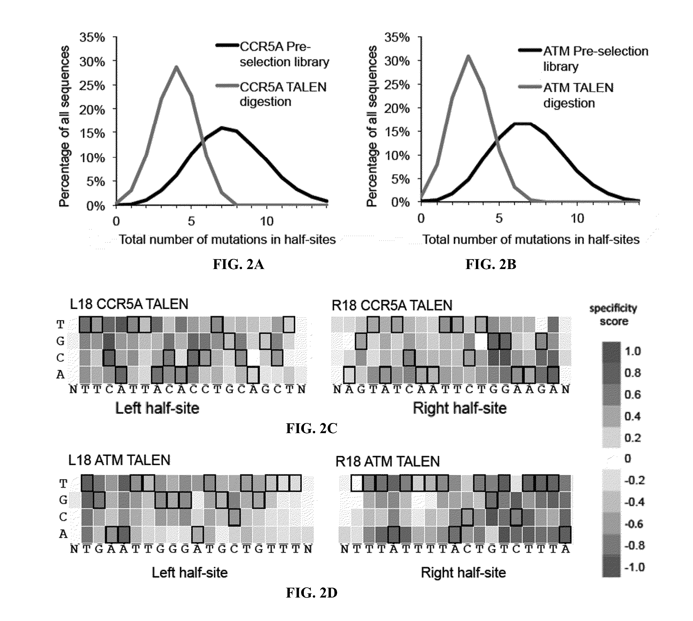 Engineered transcription activator-like effector (TALE) domains and uses thereof