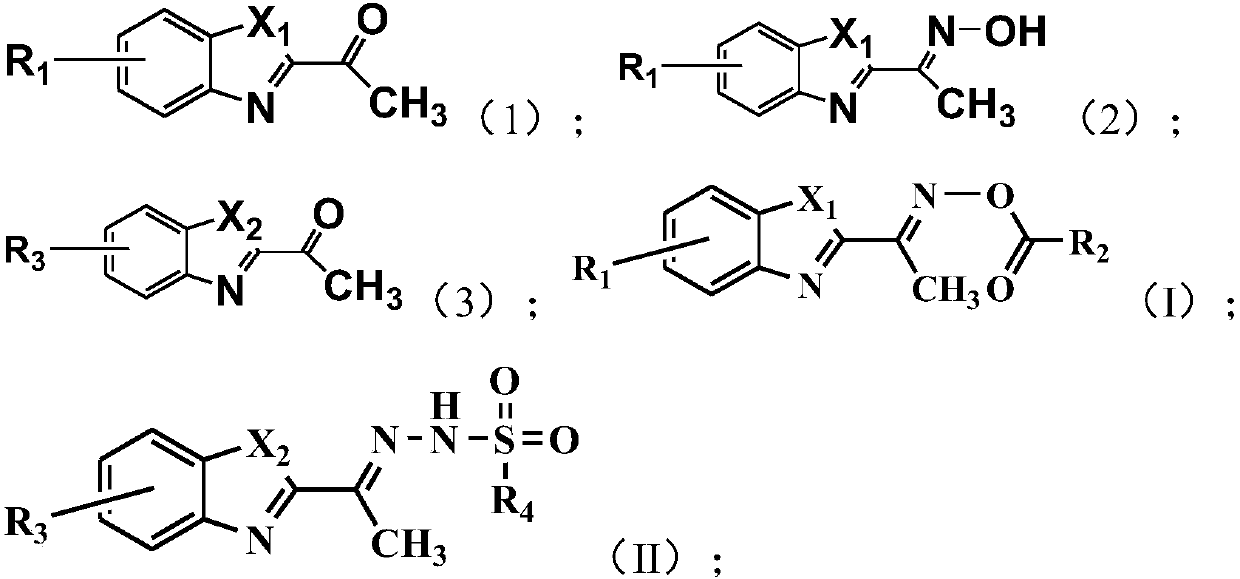 Benzoxazole-2-ethyl oxime derivate, preparation method and application thereof