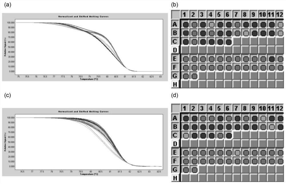 SNP markers for identification of low stone cell content in pear pulp based on high-resolution melting curves and their application