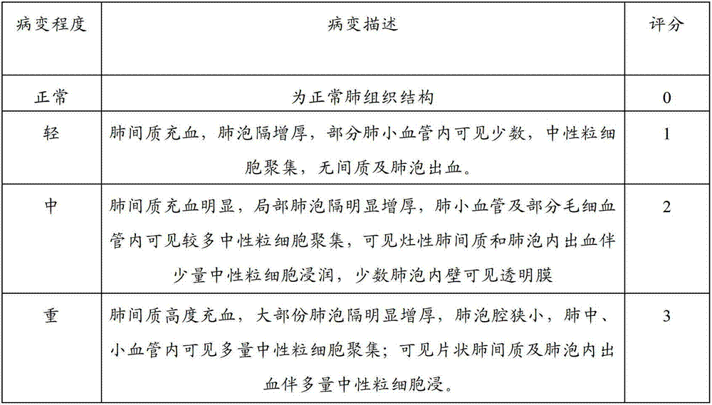 Traditional Chinese medicine composition for treating cold, as well as preparation method and application thereof