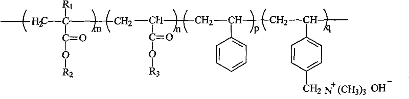 Alkaline polymer electrolyte membrane and preparation method thereof