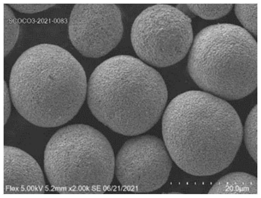 Layered cobaltosic oxide material and preparation method and application thereof