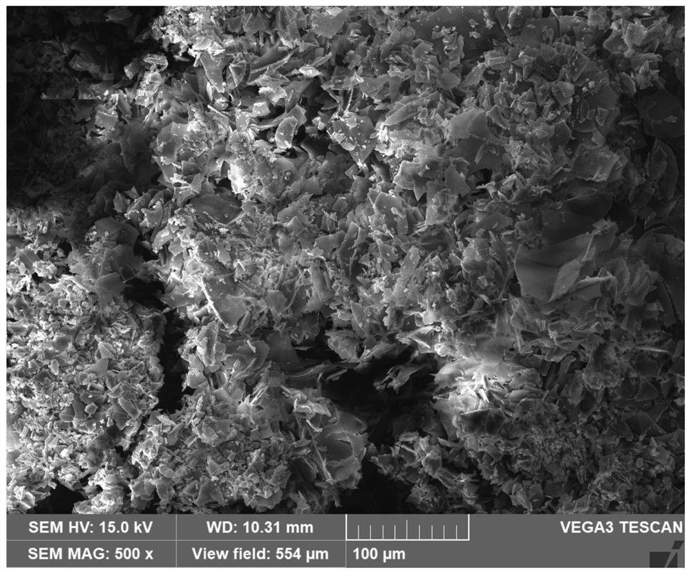 A kind of anti-biological pollution coating and preparation method thereof, implantable medical device