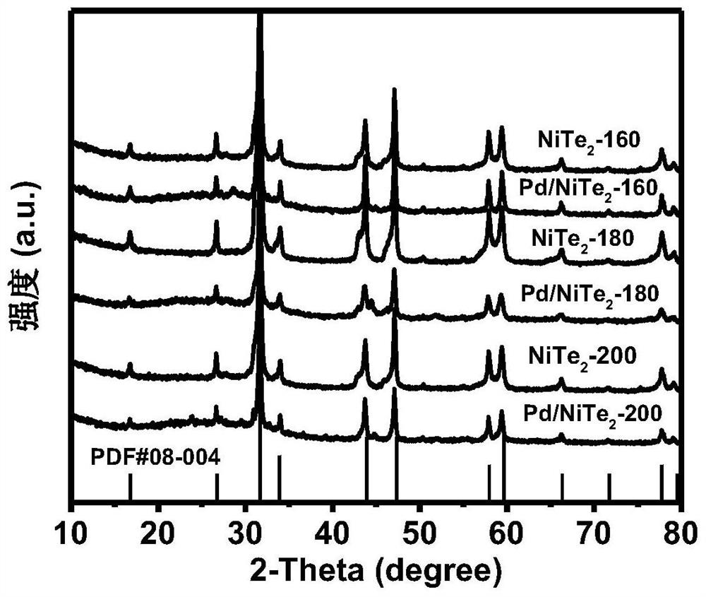 Two-dimensional nickel telluride supported palladium monatomic catalyst as well as preparation method and application thereof