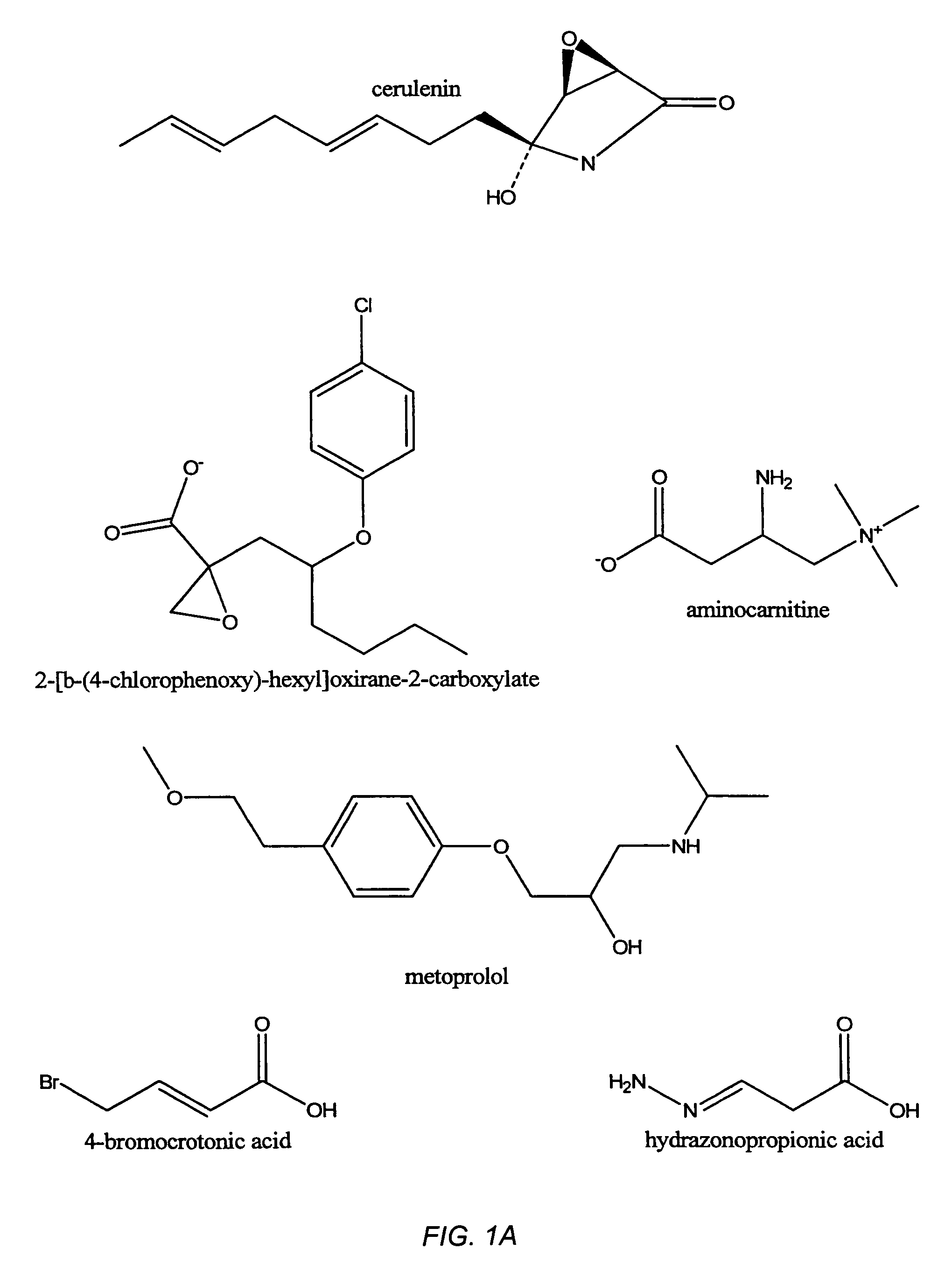 Compositions of UCP inhibitors, Fas antibody, a fatty acid metabolism inhibitor and/or a glucose metabolism inhibitor