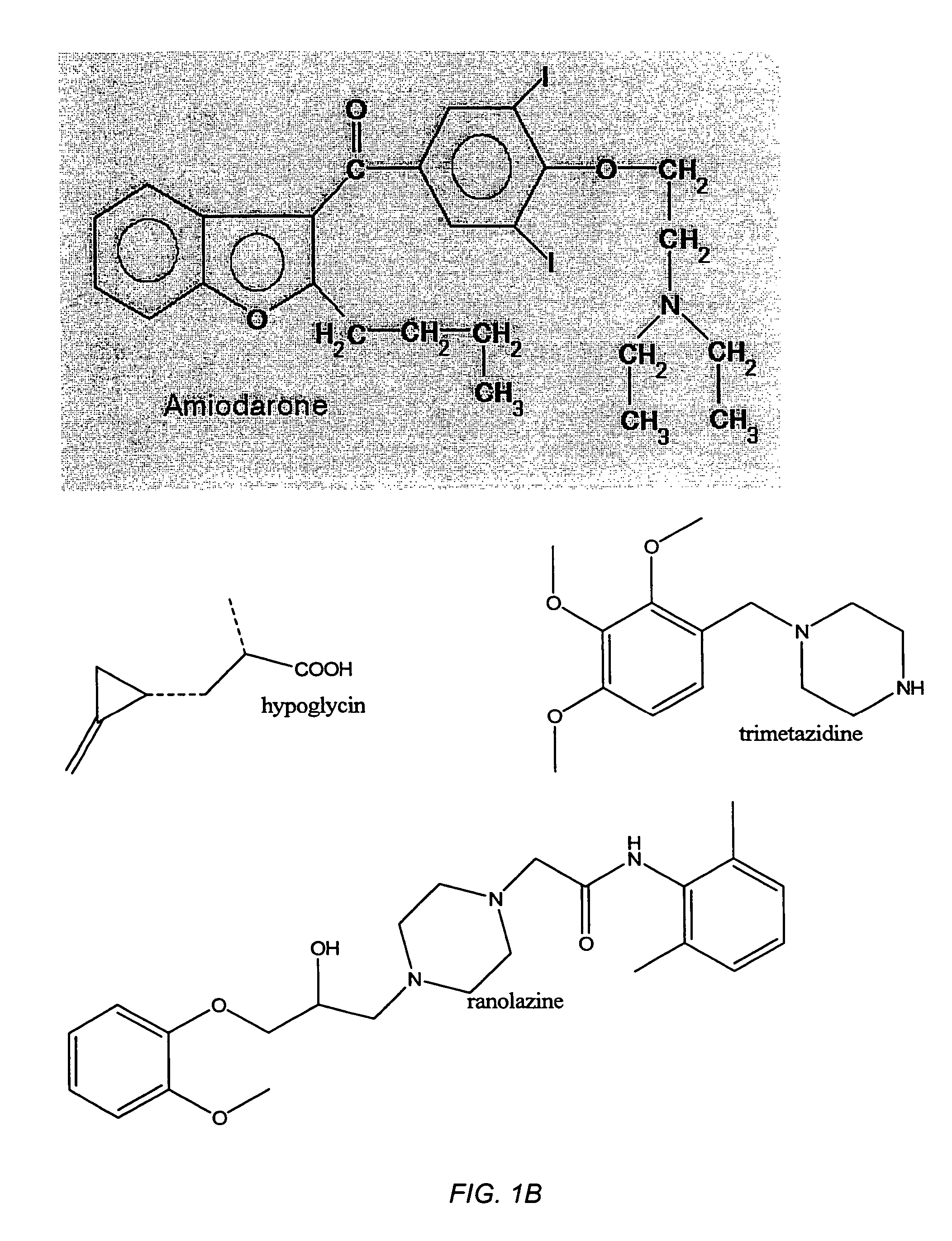 Compositions of UCP inhibitors, Fas antibody, a fatty acid metabolism inhibitor and/or a glucose metabolism inhibitor