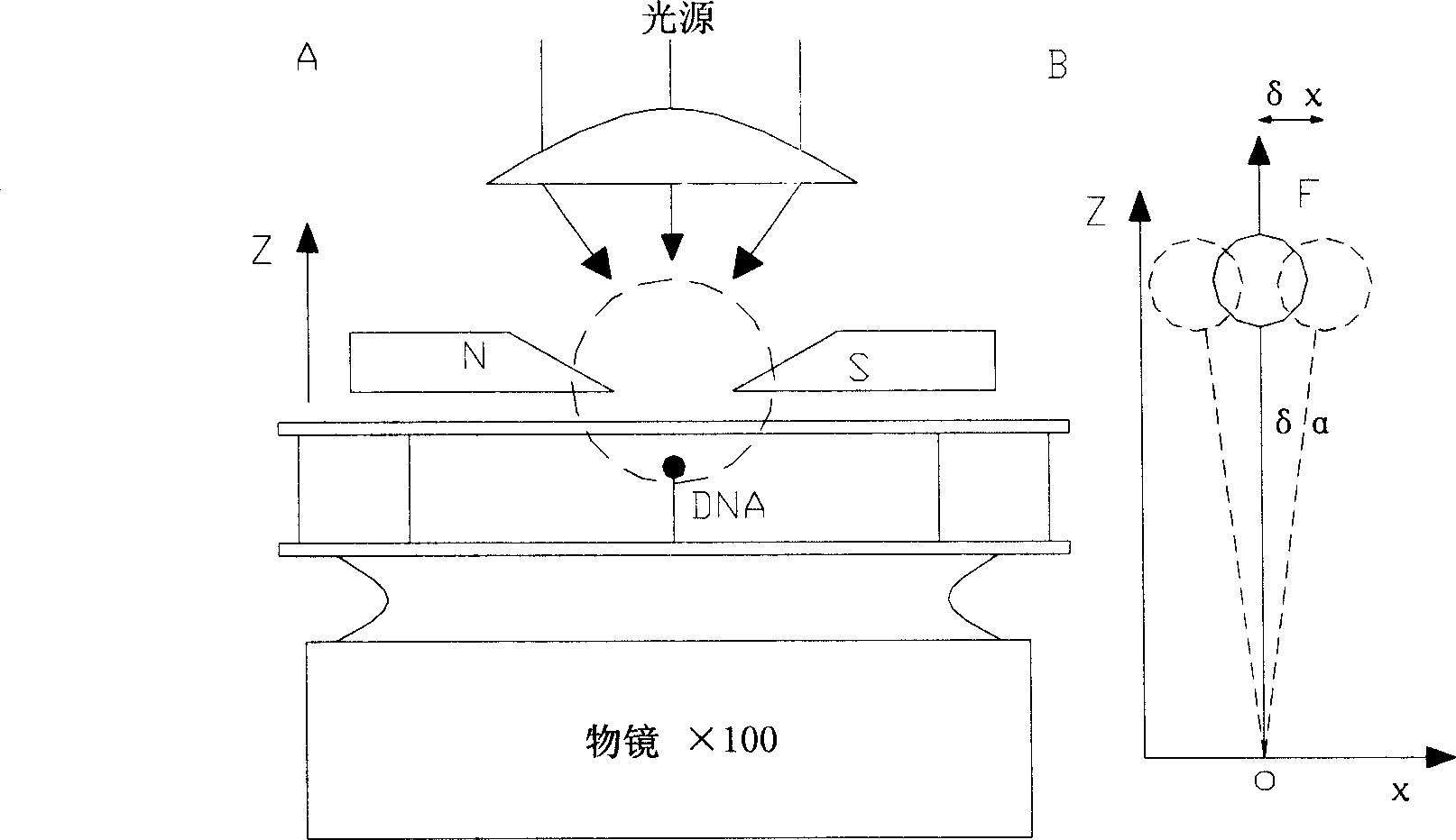 Monomolecular control transverse magnetic forceps device