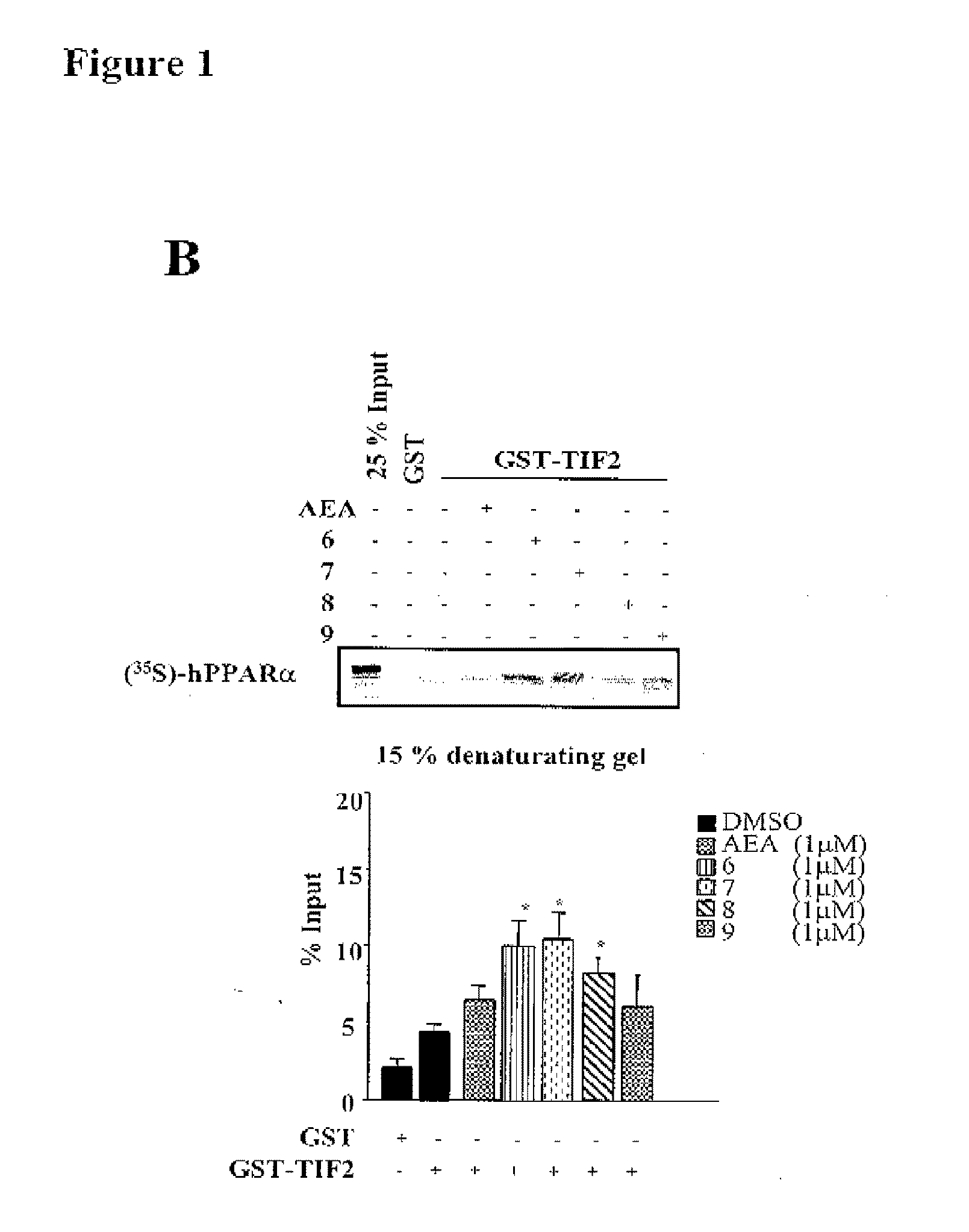 Acyclic Sulfamide Derivatives