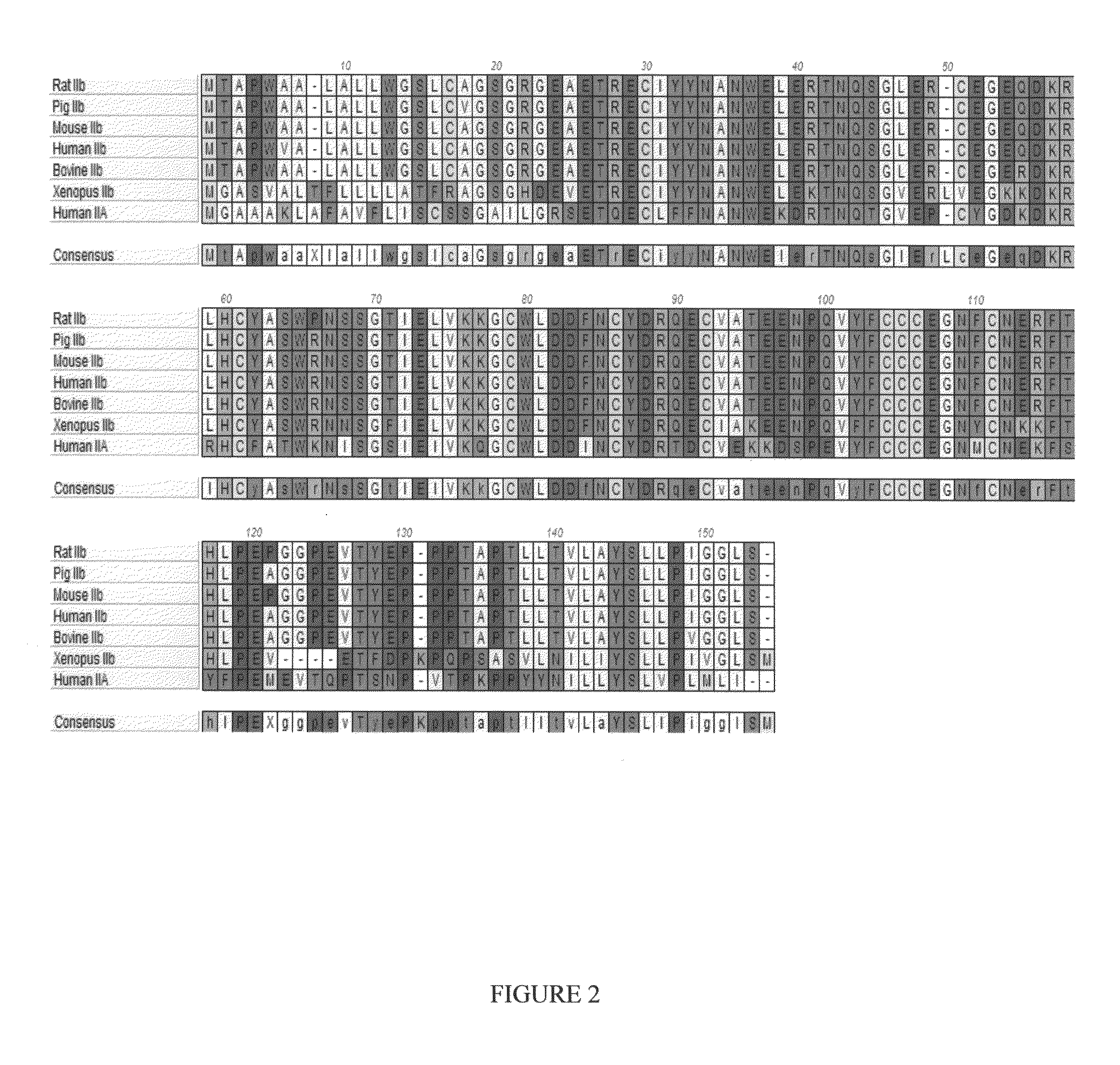Method of increasing red blood cell levels or treating anemia in a patient