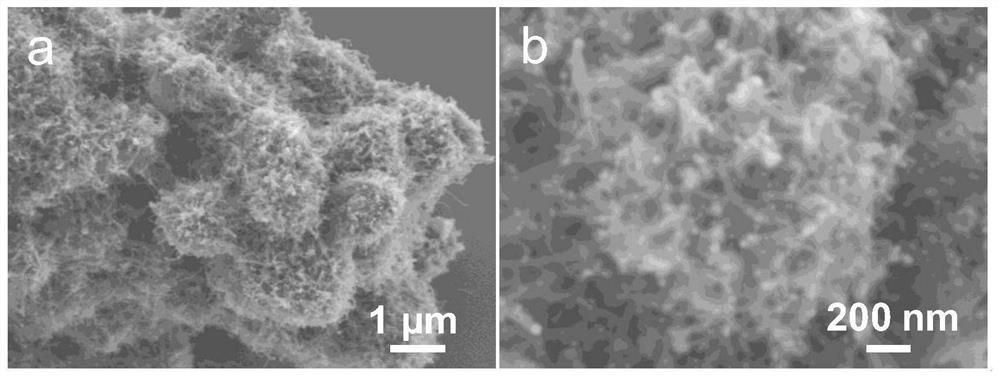 MOF catalytic growth carbon nanotube coated nickel-tin alloy electrode material as well as preparation method and application thereof