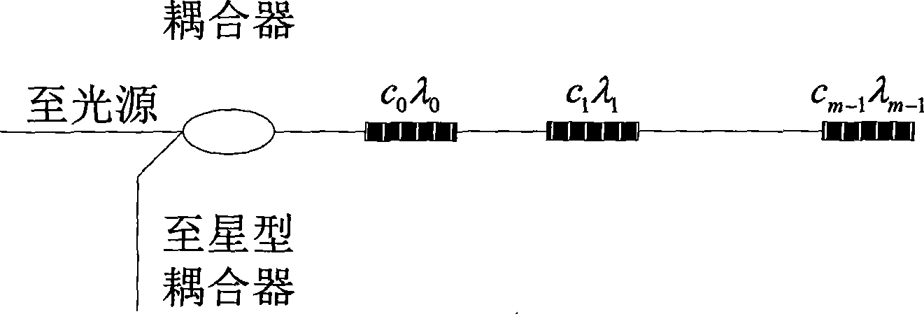 Star type optical fiber grating sensing network based on CDMA multiplexing and demodulation method