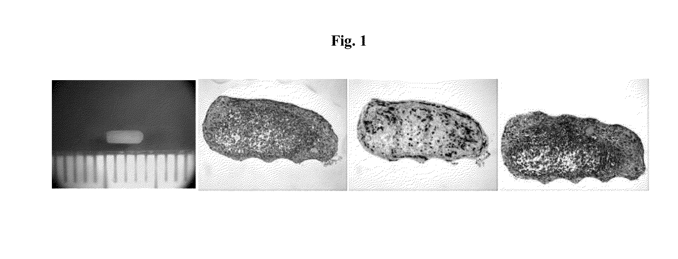 Engineered tissues for in vitro research uses, arrays thereof, and methods of making the same