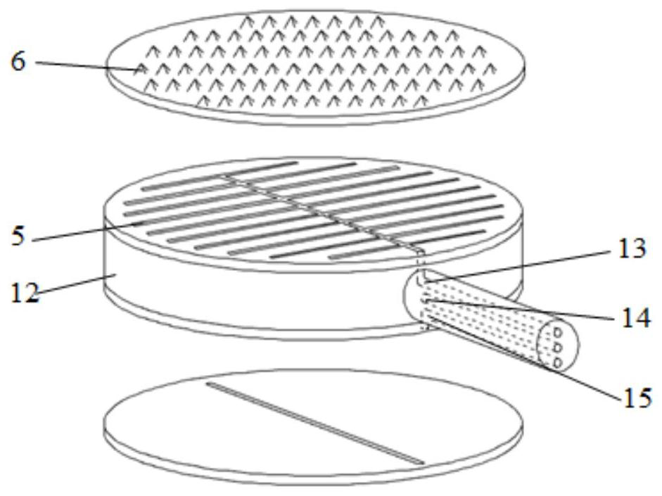 A biomimetic water intake device used in desert water-scarce areas