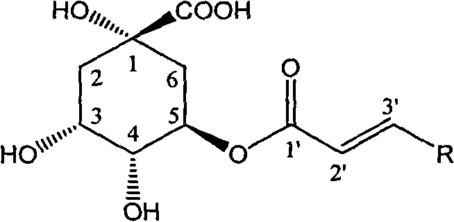 5-oxygen-substituted benzene alkene propionyl quinic acid compounds and medicine uses thereof
