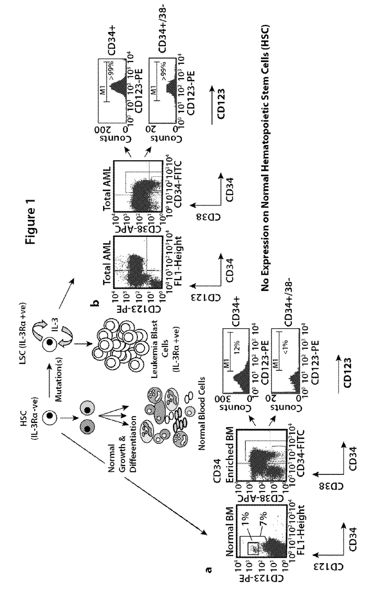 Bi-specific monovalent diabodies that are capable of binding CD123 and CD3, and uses thereof