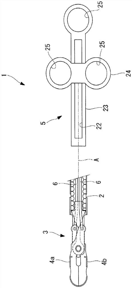 Treatment tool for endoscope