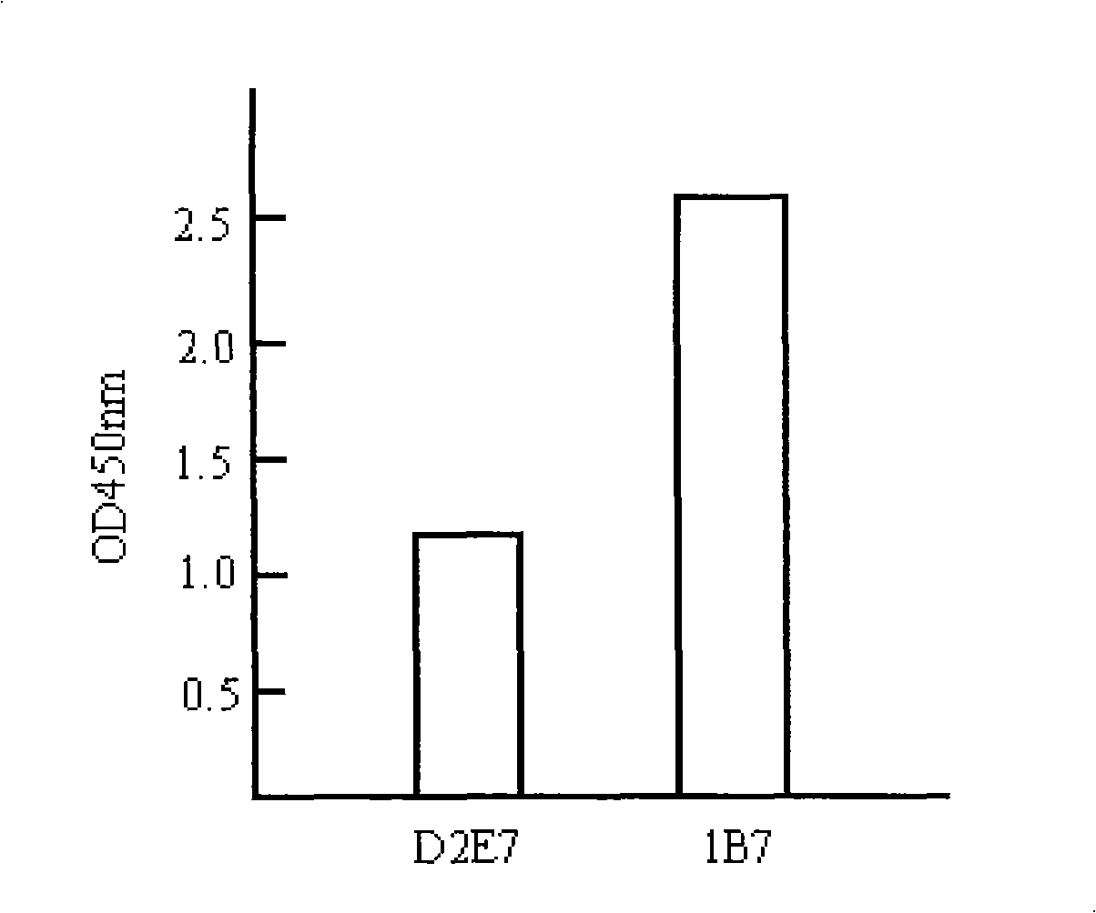 Antibody of TNF (Tumor Necrosis Factor) alpha and application thereof