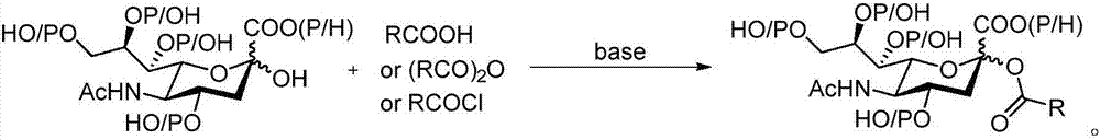 Sialic acid-carboxylic acid compound conjugate and preparation method thereof
