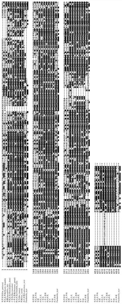 MODIFIED TERMINAL DEOXYNUCLEOTIDYL TRANSFERASE (TdT) ENZYMES