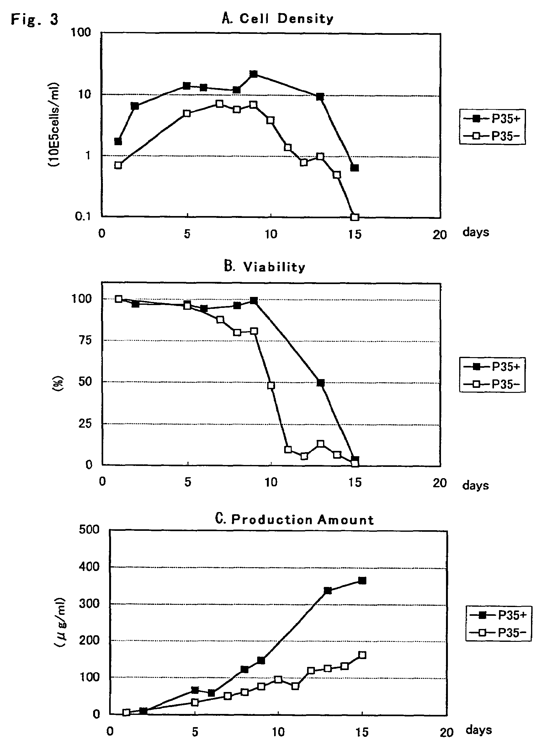 Protein highly producing recombinant animal cell, method for preparing the same, and method for mass-producing protein using the same