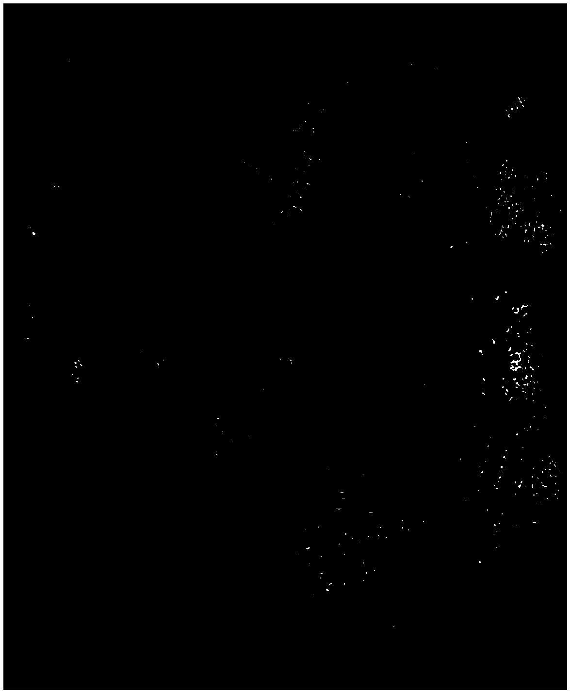 Anti-degradation aluminum-silicon alloy refiner, as well as preparation method and application thereof