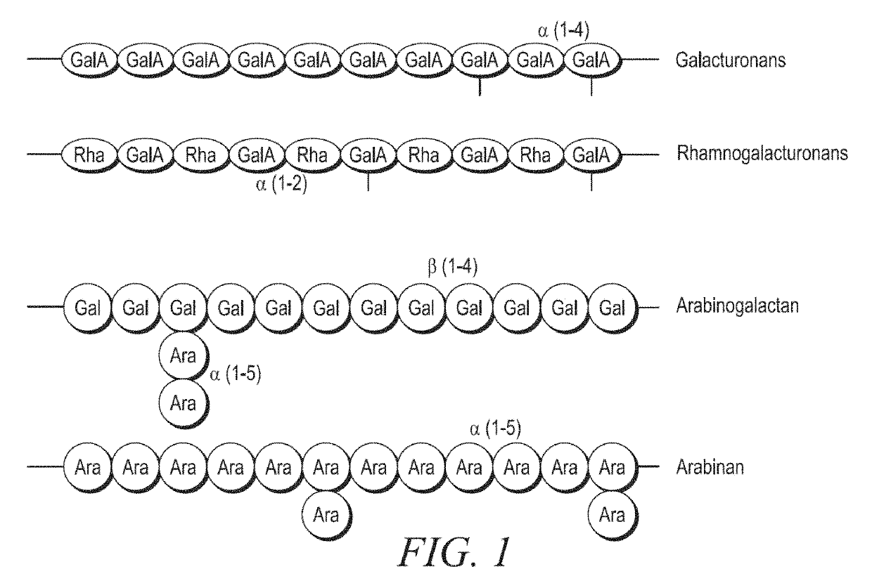 Oxidized soy polysaccharide