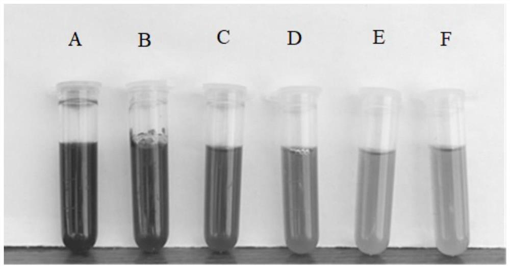 Mild decolorization method of abelmoschus manihot polysaccharide
