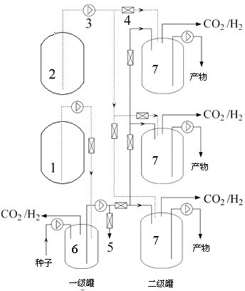 A method for semi-continuous fermentation to produce bio-butanol