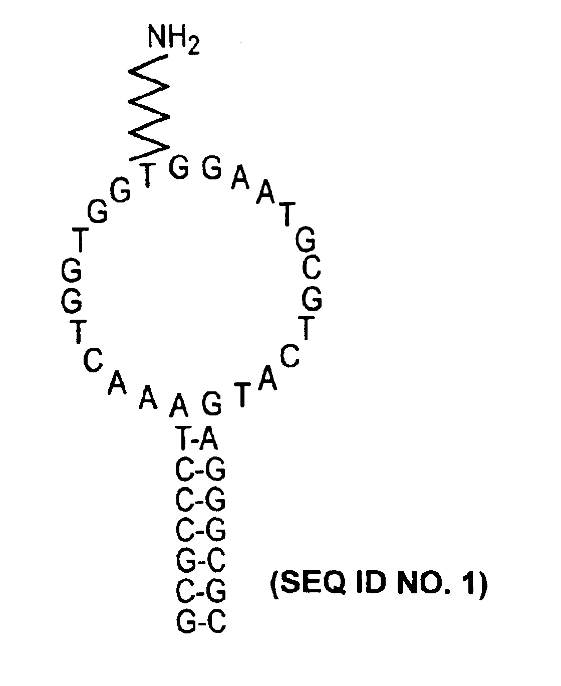 Direct, externally imposed control of nucleic acids