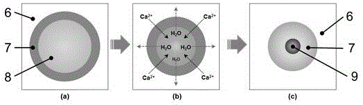 Method for preparing mono-dispersity calcium alginate microspheres based on emulsion liquid membrane mass transfer