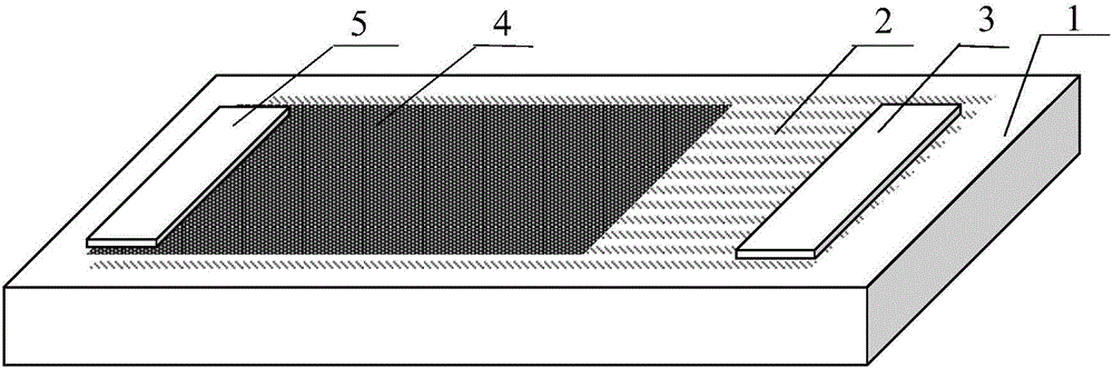 Graphene/carbon nanotube film Schottky junction photodetector and preparation method thereof