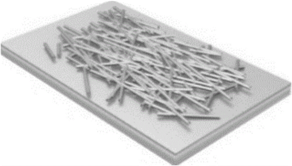Graphene/carbon nanotube film Schottky junction photodetector and preparation method thereof