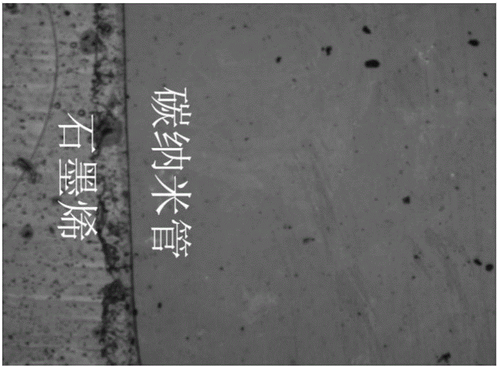 Graphene/carbon nanotube film Schottky junction photodetector and preparation method thereof