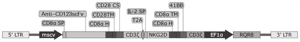 Bispecific chimeric antigen receptor targeting CD123 and NKG2D ligands and application of bispecific chimeric antigen receptor