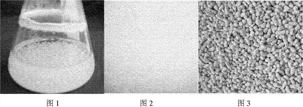 A preparation method and device of Paecilomyces lilacinus fungicide