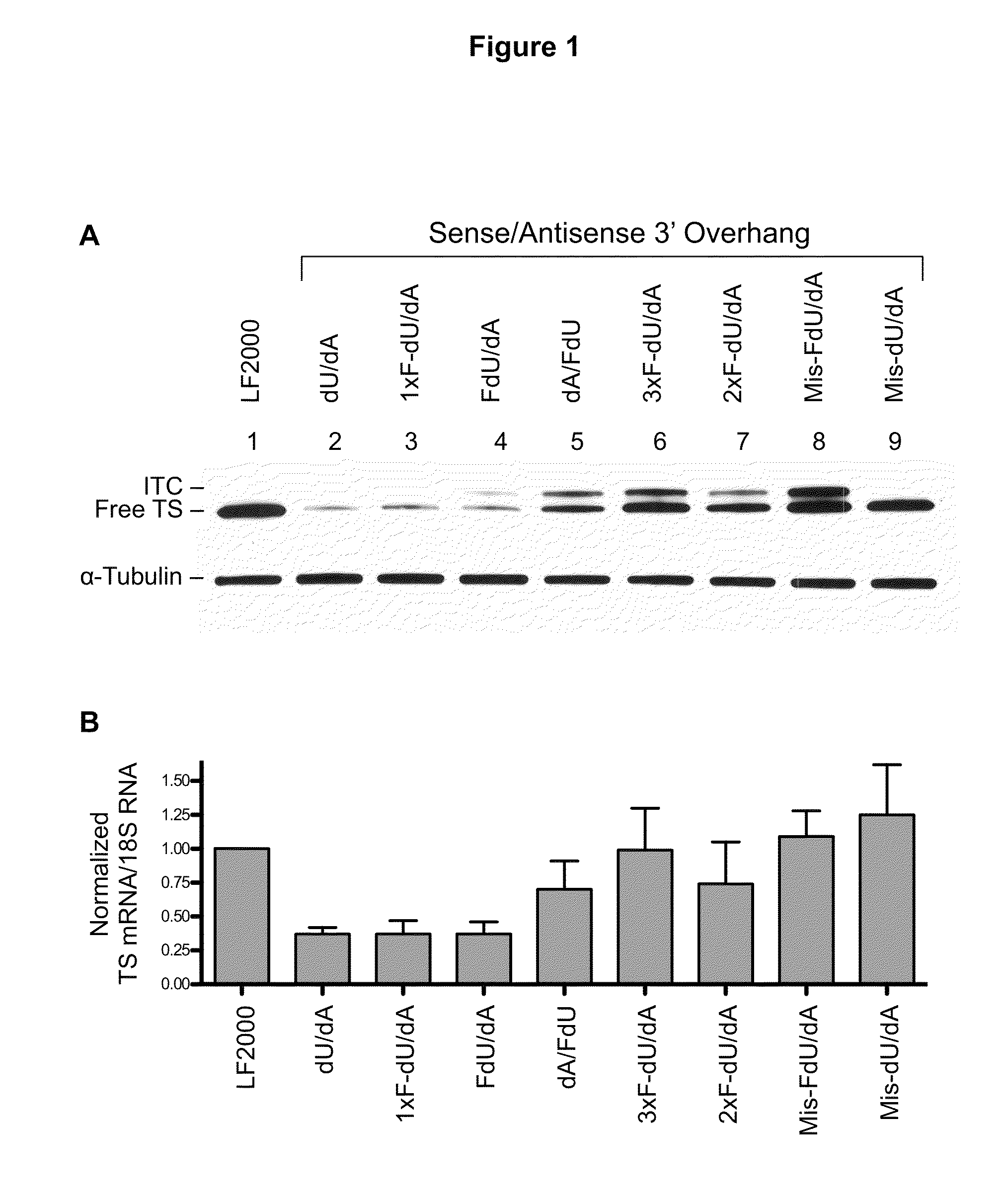 Modified siRNA Molecules Incorporating 5-Fluoro-2'-Deoxyuridine Residues to Enhance Cytotoxicity