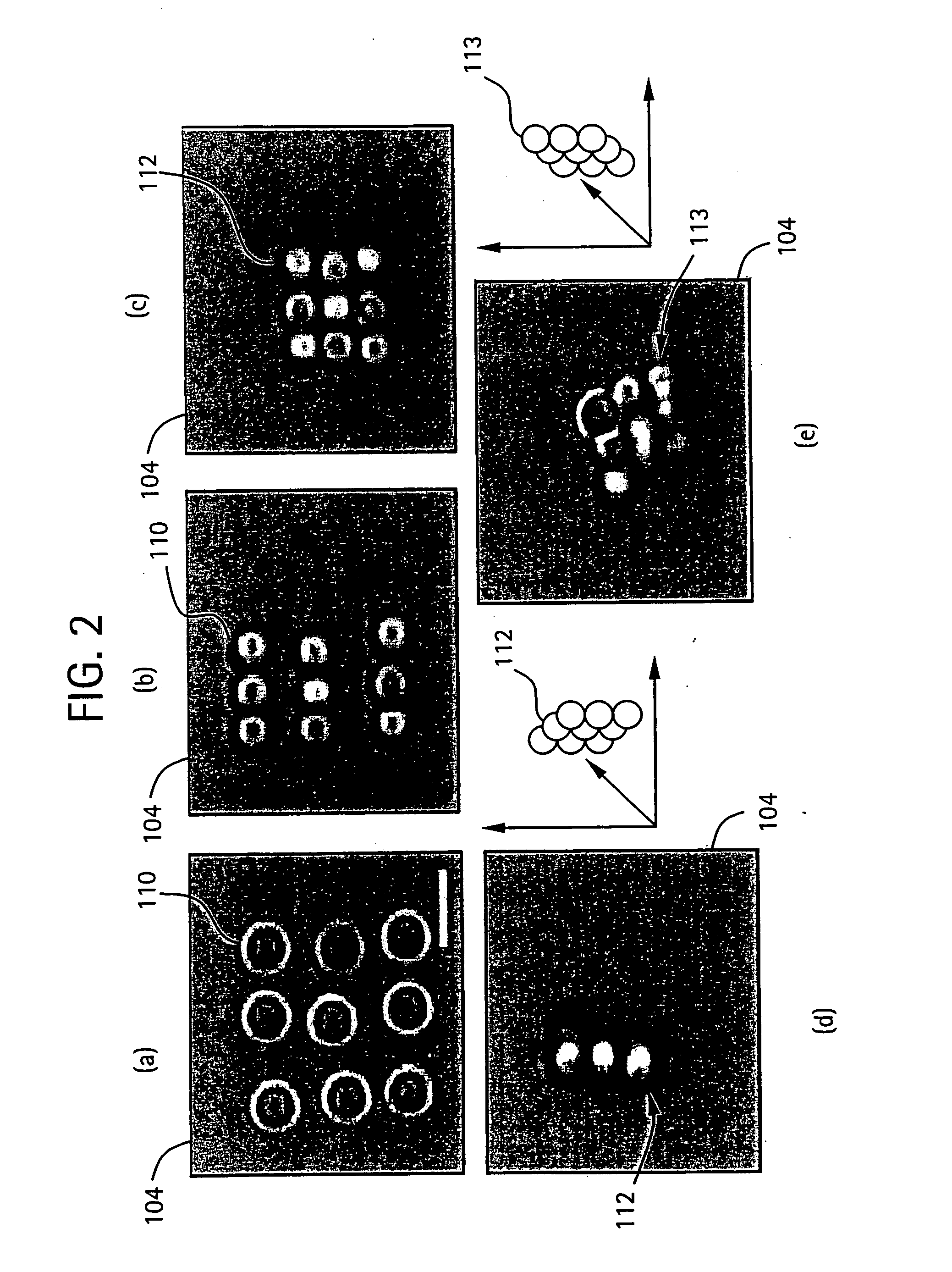 Method and apparatus for forming multi-dimensional colloidal structures using holographic optical tweezers