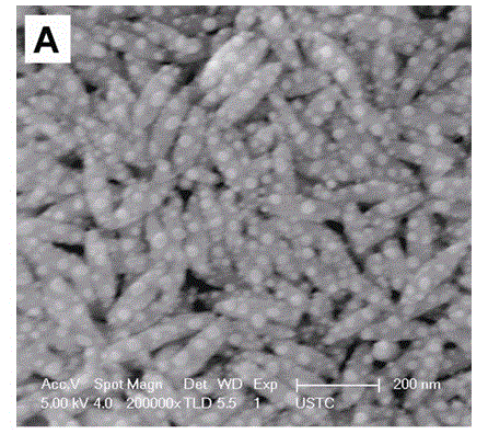 Rice-grain-shaped fluoride/silver composite nanometer material and preparation method and application thereof
