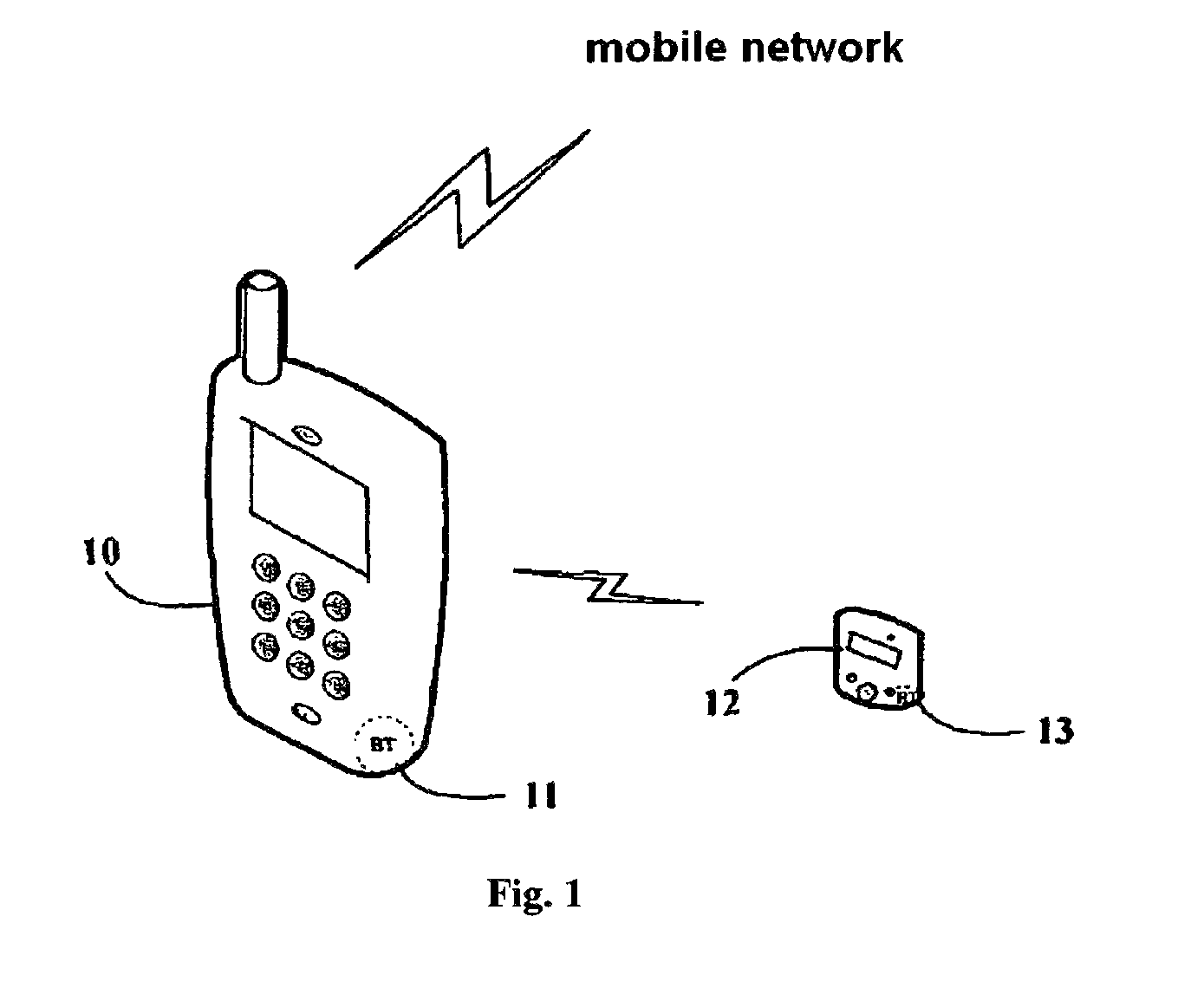 Mobile network terminal device and method for monitoring electrophysiological data and pathological image