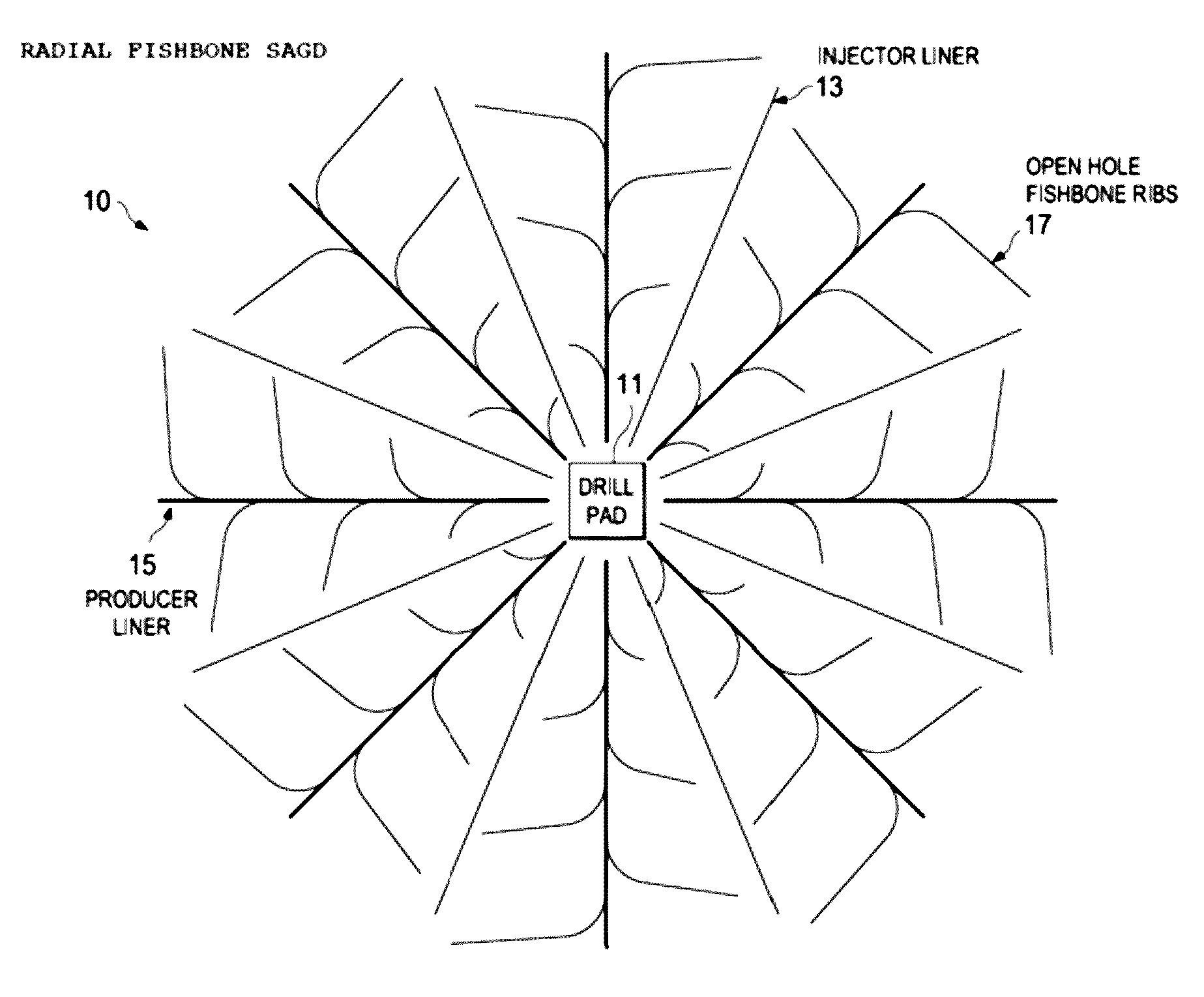 Radial fishbone SAGD