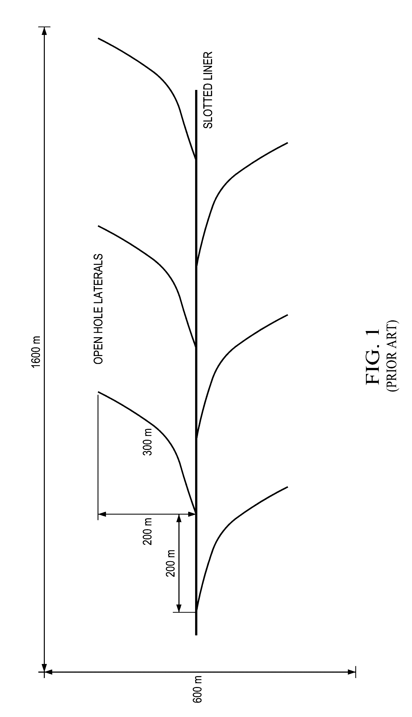 Radial fishbone SAGD