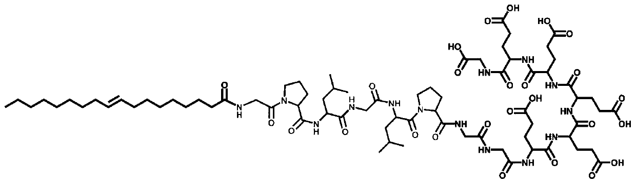 Tumor microenvironment responsive surface charge reversible nano-drug delivery carrier